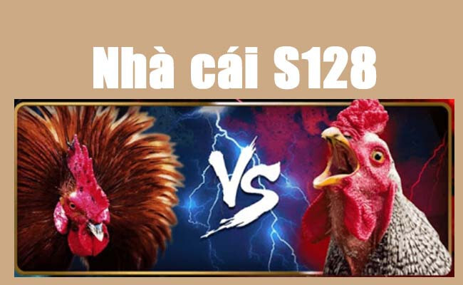 Đá gà S128 - Kênh cá cược cung cấp nhiều trận đá gà gay cấn 7 Một số lưu ý khi cược đá gà tại S128 để sớm có được phần thắng