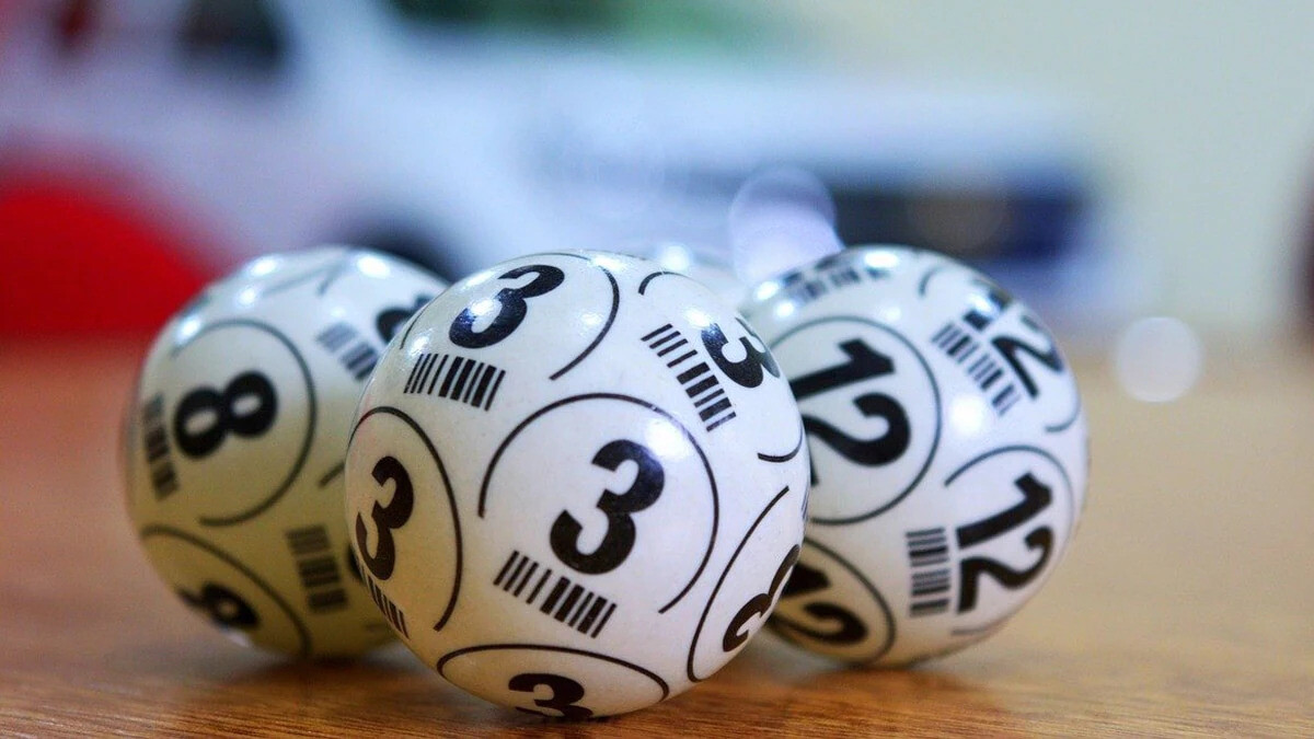 Cách nuôi dàn đề 60 số hiệu quả dành cho người mới 7 Nên cân nhắc số vốn của bạn có thích hợp để nuôi dàn đề 60 con hay không