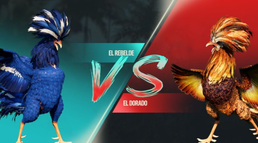 Hướng dẫn chơi đá gà SV388 chi tiết nhất