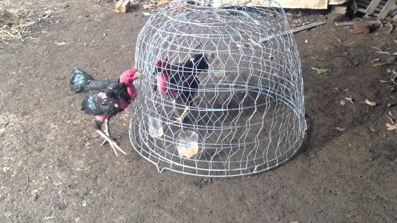 Cần phải có khoảng cách thời gian phù hợp giữa tập luyện và nghỉ ngơi