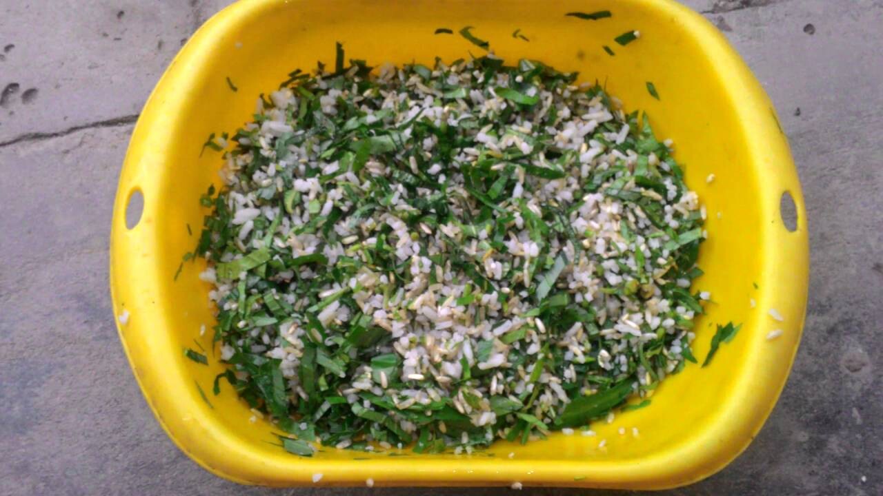 Gợi ý các loại thức ăn cho gà chọi đá hay, sung sức 7 Trong danh sách thức ăn cho gà chọi, rau xanh luôn là thành phần không thể thiếu