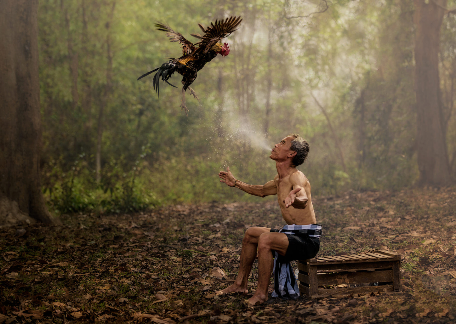 Cách tắm gà tre đá - Tổng hợp các cách tắm sư kê hay áp dụng 5 Tìm hiểu về một số cách tắm gà tre đá đơn giản