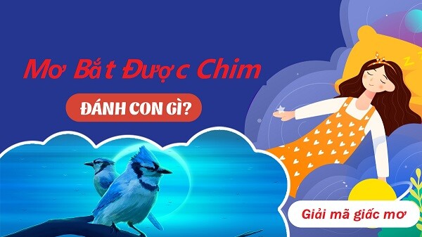 Mơ bắt được chim đánh con gì trúng lớn? 11 Nằm mơ bắt được chim đánh con gì trúng lớn?